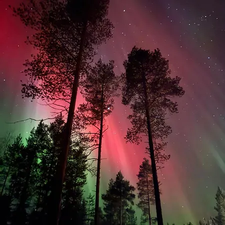 Kelo Huvilat Rovaniemi